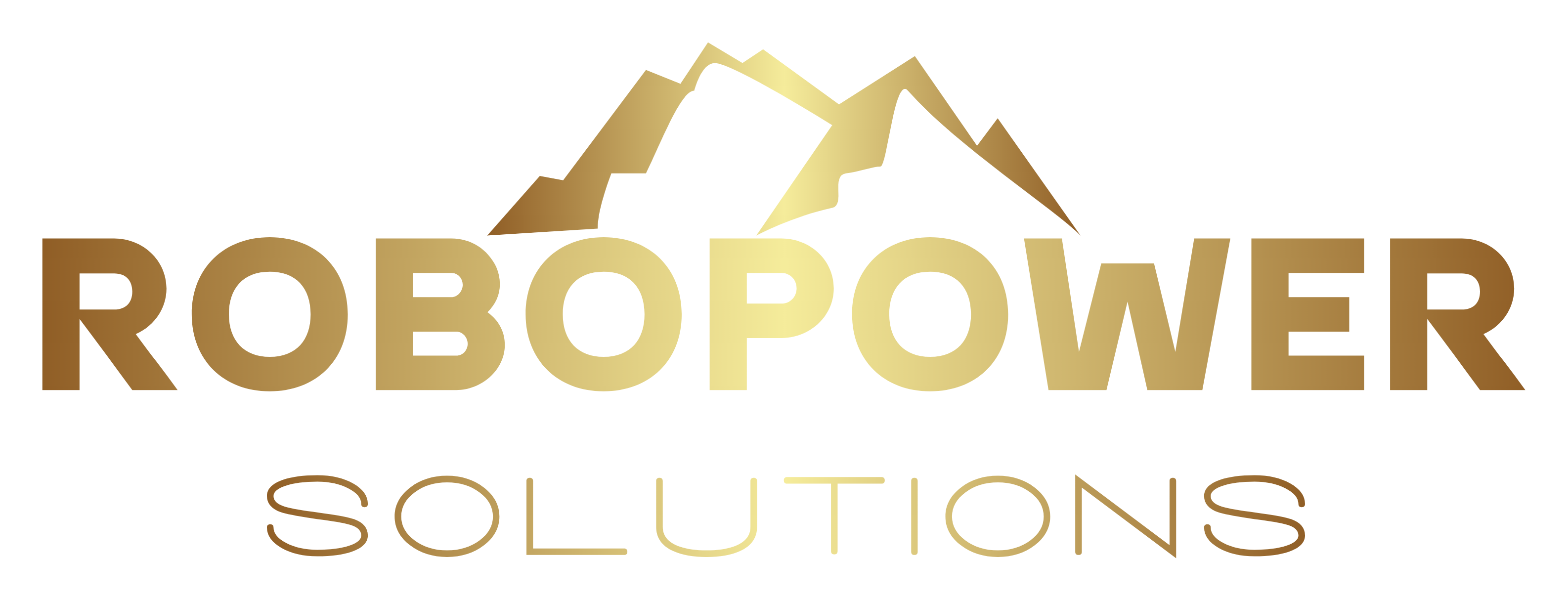 RoboPower Solutions